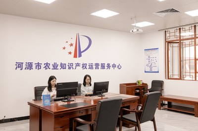 广东河源首家国家知识产权信息公共服务网点获批